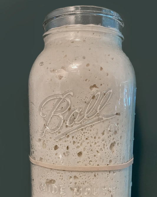 Bubbly sourdough starter in a mason jar for home made bread making. Available at Texas Wild Brand of Fredericksburg TX.